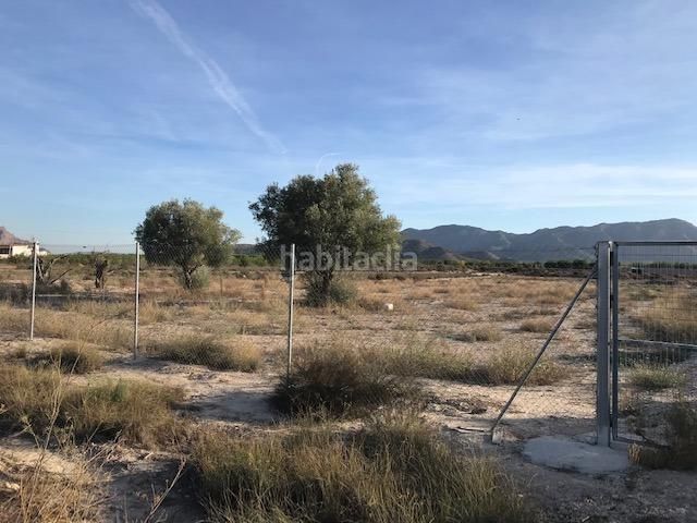 Foto bc3f8d50-d9ef-417f-b8c8-ab4e16d31e31. Finca rústica a Montepinar - La Aparecida - Raiguero Orihuela