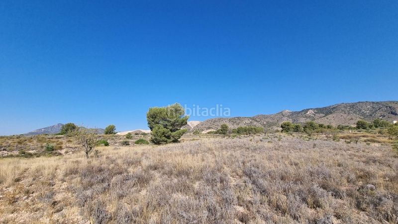 Foto 4f2cd9d1-ff95-42bf-997c-5284b4791e22. Finca rústica a Abanilla