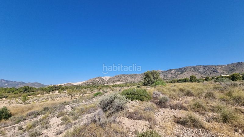 Foto 8e088e91-ae67-4dbb-9513-e46dd9aab252. Finca rústica a Abanilla