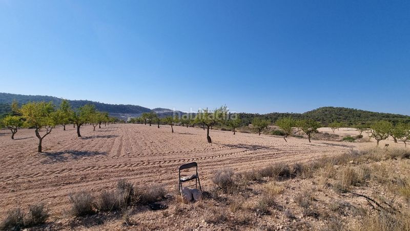 Foto ad2999d3-4b4f-486d-90eb-760781dba1ff. Finca rústica a Abanilla