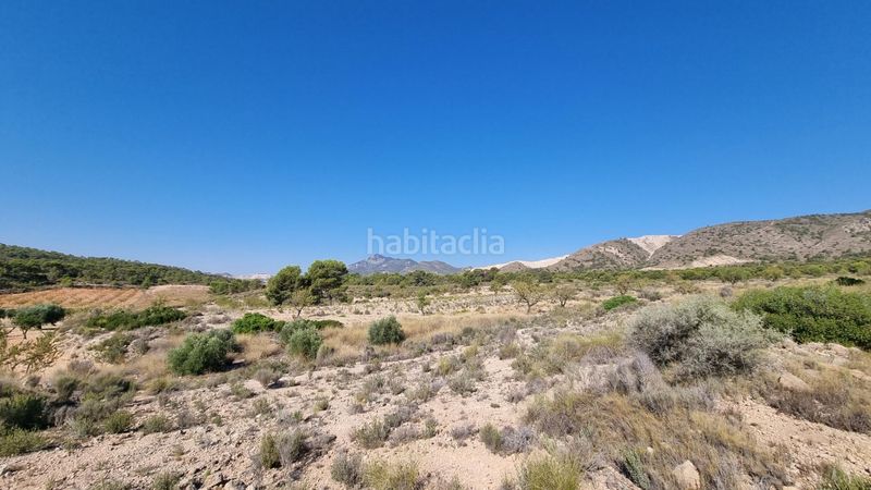 Foto b7befb50-71db-4dd8-9bc7-04684bab6802. Finca rústica a Abanilla