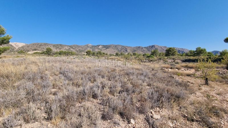 Foto c6cbc0f4-dc07-4b7c-9427-8815eff900e9. Finca rústica a Abanilla