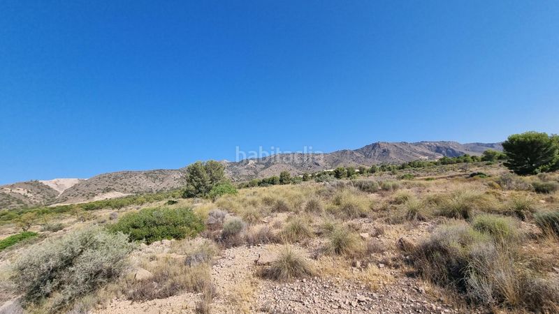 Foto d904434b-8331-4182-85c1-b17bd2ee868d. Finca rústica a Abanilla