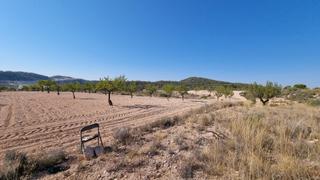 Finca rústica a Abanilla. Excelente oportunidad de inversión! parcela de 120.000 m2 en el