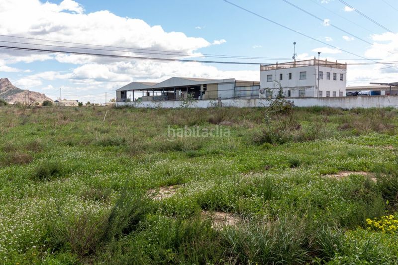 Foto 1ea1bd78-607b-48f7-bf39-aeff47c8dd20. Finca rústica a Montepinar - La Aparecida - Raiguero Orihuela