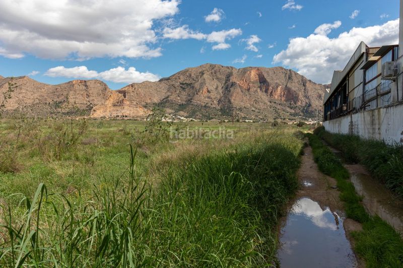 Foto e6159791-d5a8-45c7-977b-f2600683ebb6. Finca rústica a Montepinar - La Aparecida - Raiguero Orihuela