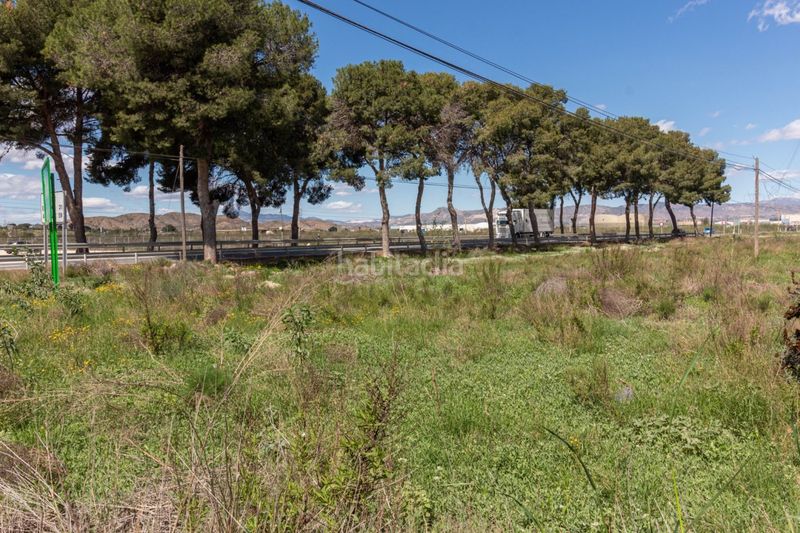 Foto e9aa1897-8018-4903-ad89-a0505eb77e5e. Finca rústica a Montepinar - La Aparecida - Raiguero Orihuela