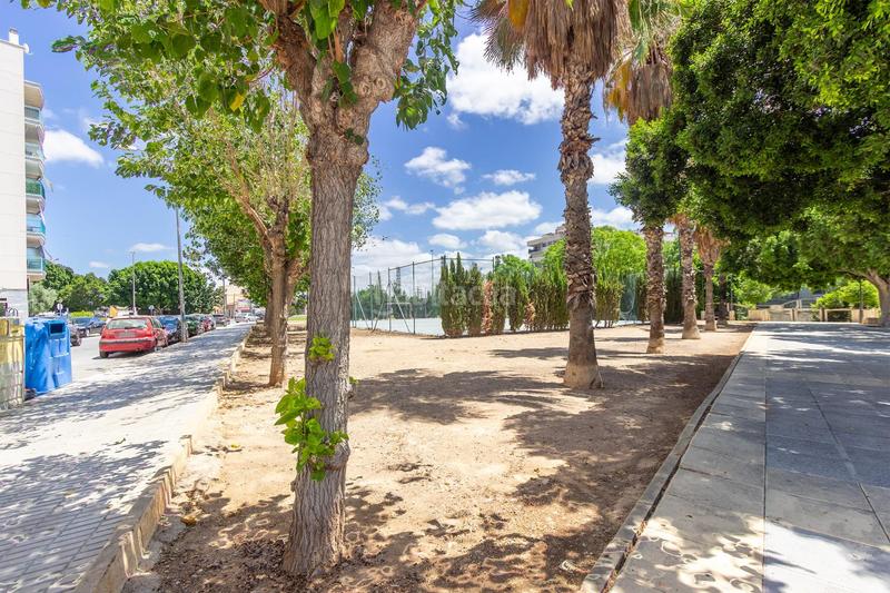 Foto 990cad8c-721e-4f49-b7e1-a5c0ca71db43. Alquiler piso alquila tu hogar ideal en santo domingo ! ideal para 2 personas trabajadoras! en Orihuela