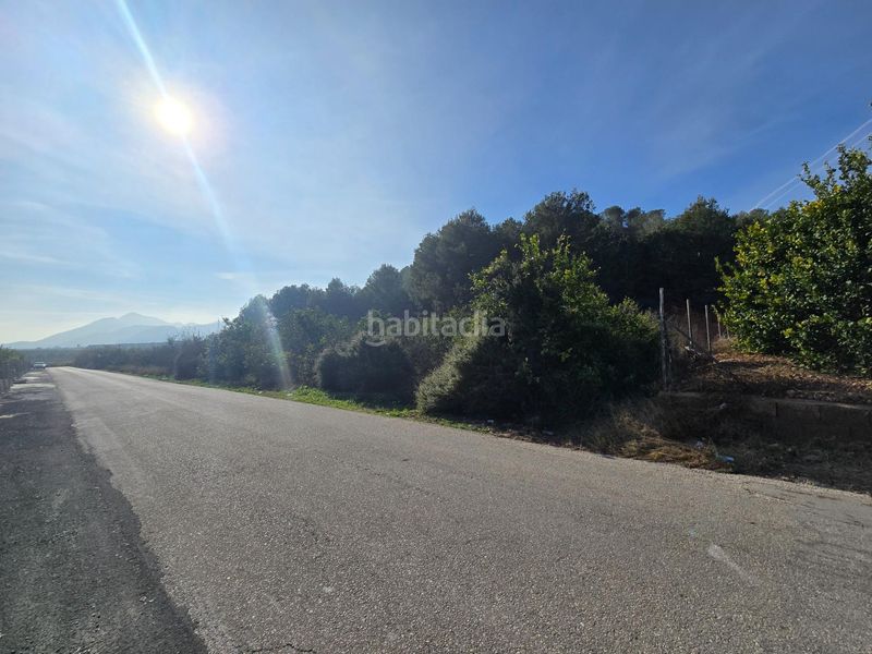 Foto 83a6d0f2-72c9-4b81-ae4e-5363ce734480. Finca rústica a Santomera