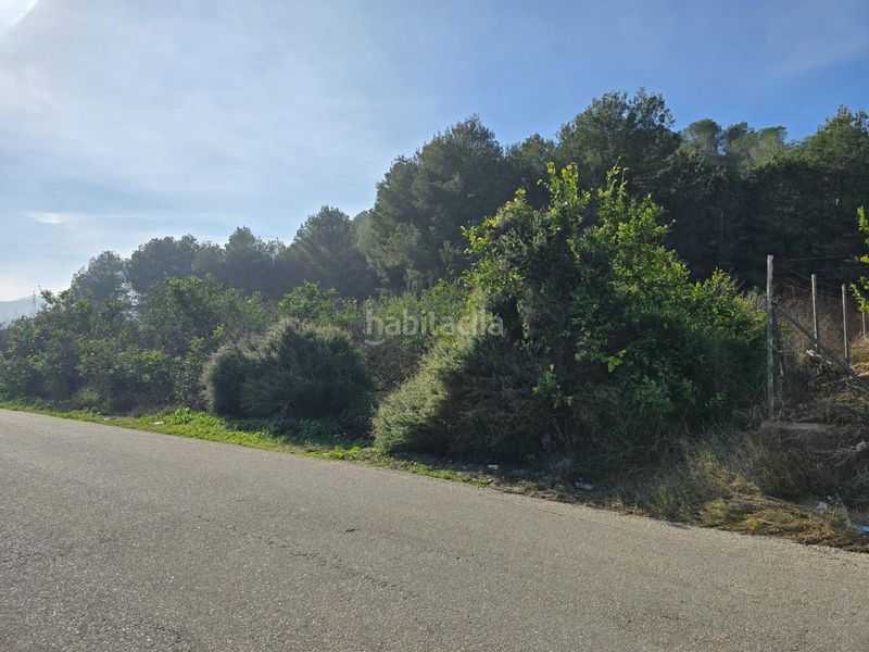 Foto cb177e09-2815-4572-9a61-eabafde0944c. Finca rústica a Santomera