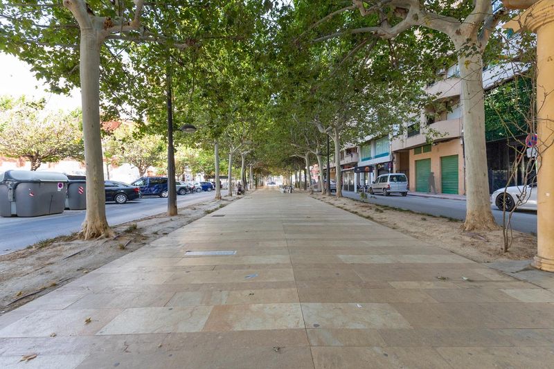 Foto 046e535a-d345-4b28-a825-3ddff0429368. Pis a Orihuela ciudad Orihuela