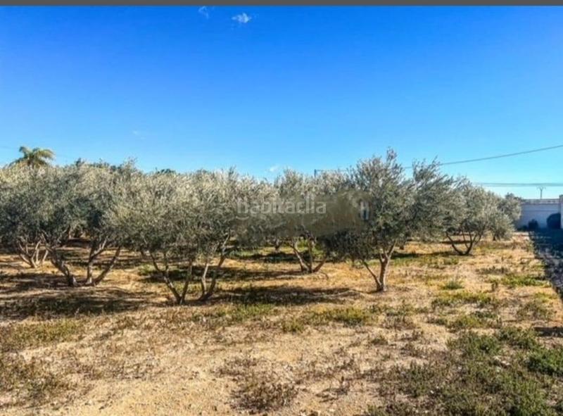 Foto 8631894a-e475-4dd1-9c6b-f89ac6683b42. Chalet mit parking pool in Centro Mutxamel