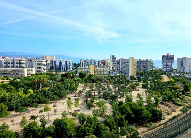 Foto 26d5a41b-8c36-4058-a605-0ae129725042. Apartamento luminoso piso en venta en avenida de oviedo en Alicante