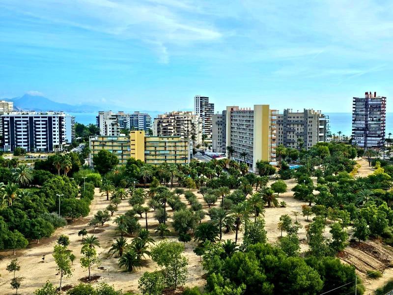 Foto e66e1a3f-00f7-4e69-afcf-08934ff71bdb. Apartamento luminoso piso en venta en avenida de oviedo en Alicante