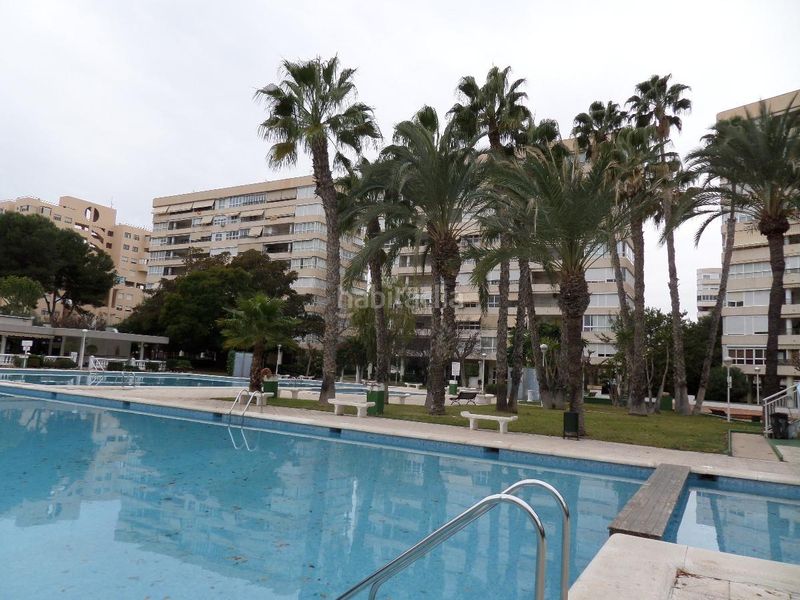 Foto 420fadde-0e79-45e4-a38e-8b1134aecb45. Pis amb calefacció aparcament piscina a Playa de San Juan Alicante