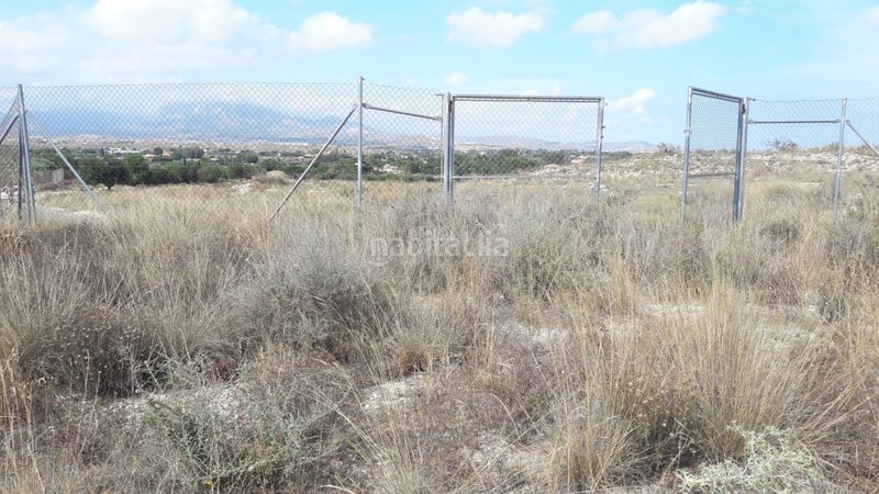 Foto 194c3a88-389d-4441-b6f6-c34f45c046cc. Terreny residencial a La Huerta Mutxamel