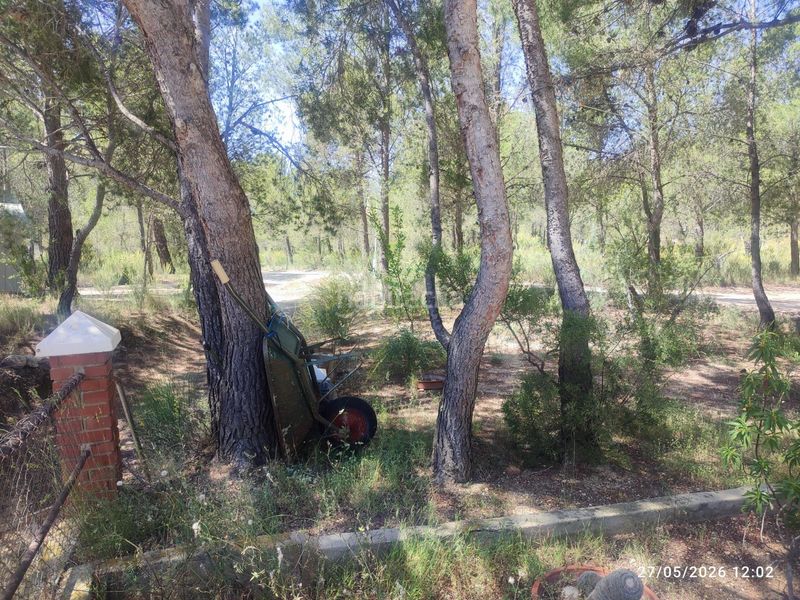 Foto 52421ade-4640-4748-9ceb-b4ea1b4c399a. Xalet amb aparcament a Tibi