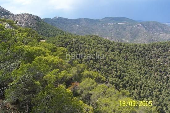 Foto 6e779c84-7572-41eb-9de7-c19021bfa082. Xalet amb aparcament a Tibi