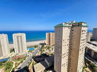 Miete Etagenwohnung in Playa Muchavista. Piso en alquiler en el campello con piscina, urbanización privad