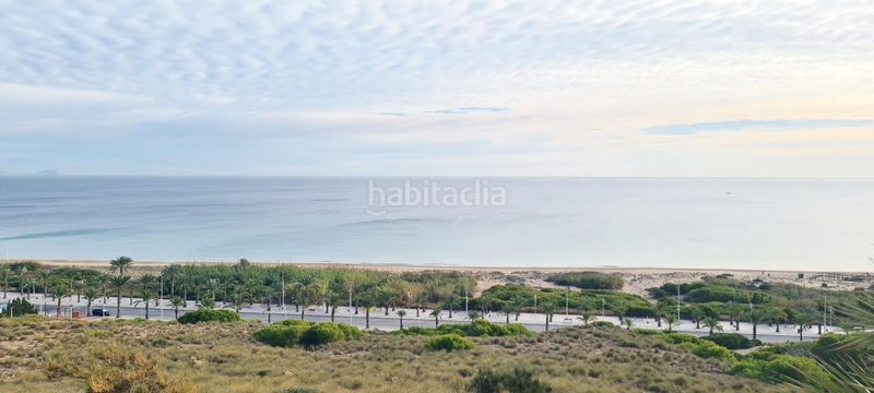 Foto 48dab9f1-c5da-4712-9ff0-288ecb0cd365. Casa amb calefacció aparcament piscina a Los Arenales del Sol Elche / Elx
