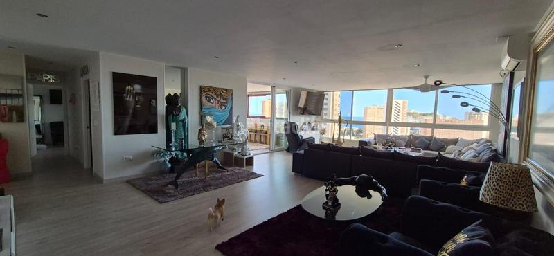 Foto 528596e9-46ba-4f23-b273-60e1cc702b56. Appartement avec chauffage piscine dans Playa Poniente Benidorm