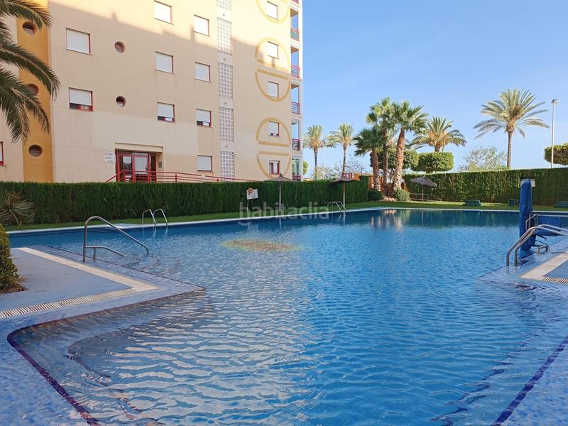 Foto 612d4e50-d35b-42e0-b5a3-a8de2f478d57. Pis amb piscina a Platja de Torres Vila Joiosa (la)