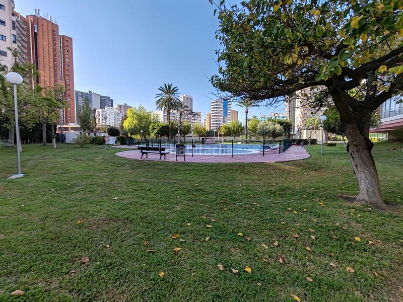 Foto fe11933d-b4c6-4fa9-9df2-000e8130dc23. Pis amb piscina a Rincón Bajo Benidorm