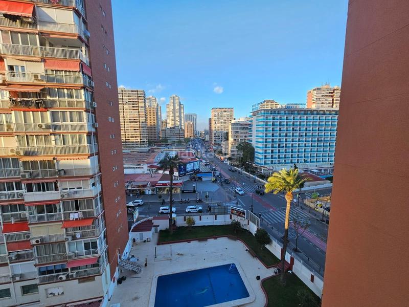Foto 1639723b-b5b9-4b57-9af3-213e44c0732c. Studio avec piscine dans Playa Levante Benidorm