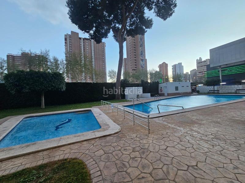 Foto 68311530-05ec-43ce-892a-e6b26d215190. Studio avec piscine dans Playa Levante Benidorm