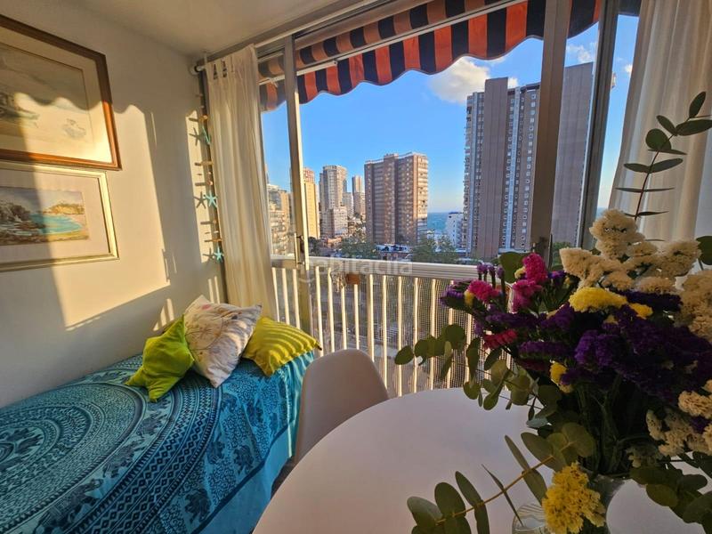 Foto 77527227-e4ec-49e2-aeeb-7ed99a570266. Studio avec piscine dans Playa Levante Benidorm