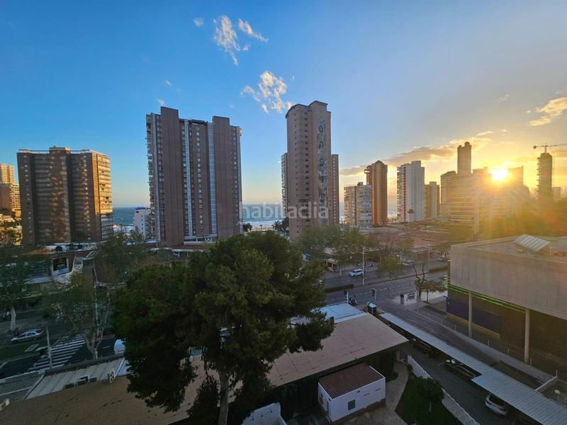 Foto c8f5dc54-3c29-4a0a-bda6-032ce4a34111. Studio avec piscine dans Playa Levante Benidorm