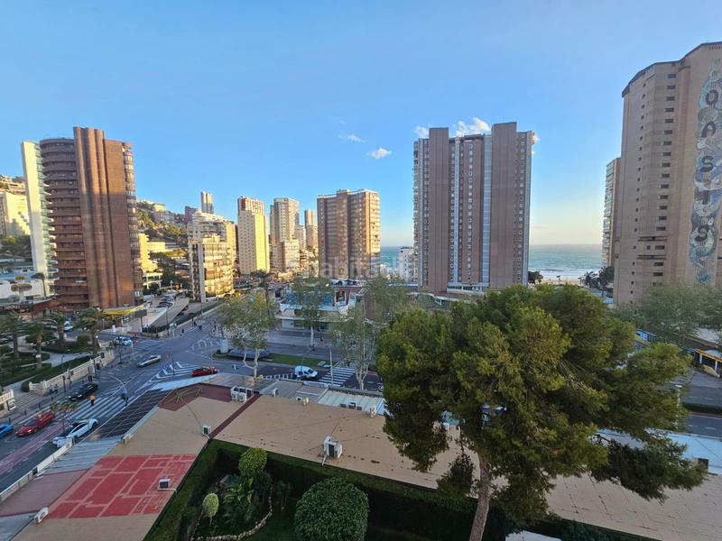 Foto ecbd24e4-94ee-46bb-beb9-55f7355fb528. Studio avec piscine dans Playa Levante Benidorm