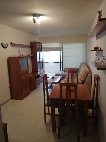 Foto 1cc0bcfd-e3ad-4fd0-bc1c-7df5c80891e3. Pis a Juzgados - Plaza de Toros Benidorm