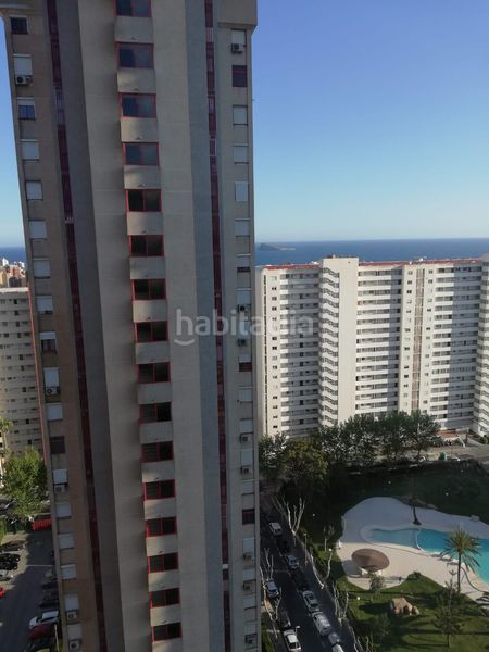 Foto e69a4016-402c-445d-b17a-a9869d192a92. Pis a Juzgados - Plaza de Toros Benidorm