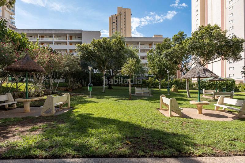 Foto 5bcbce8f-b7ae-4b91-811f-0f1bd80e826a. Apartament amb piscina a Rincón Alto Benidorm