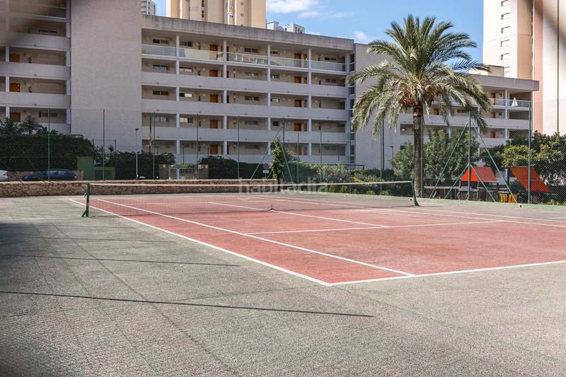 Foto 66472ea6-4ed6-48c3-9495-fd34d54a9677. Apartament amb piscina a Rincón Alto Benidorm
