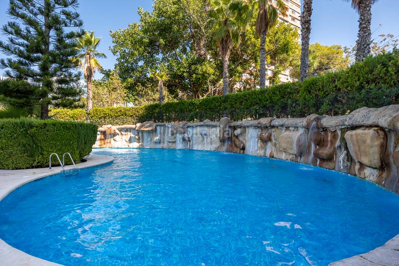 Foto 2b6f3a59-9307-47bf-8cd5-34f5a3f3765c. Appartement mit pool in Playa Poniente Benidorm