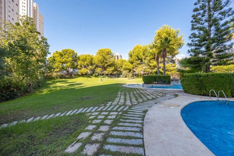 Foto f068dda2-fd09-49aa-9bfe-ee9ce1ec59e4. Appartement mit pool in Playa Poniente Benidorm