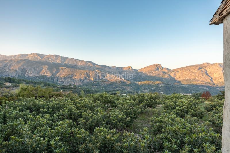 Foto d595f7ef-2df6-4383-aefb-fffd0fc2c0e6. Maison dans Benifato