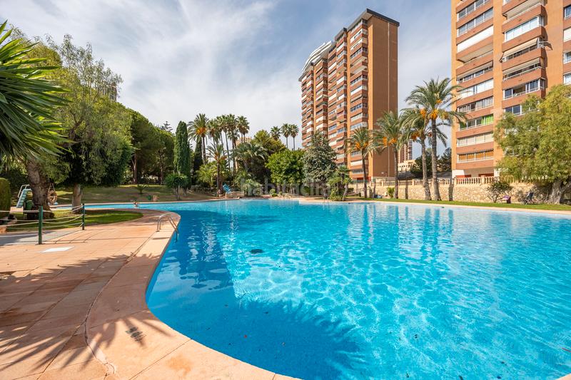 Foto c8cc24b9-74f1-4866-9ce2-ce97d9e3985f. Appartement mit pool in Playa Poniente Benidorm