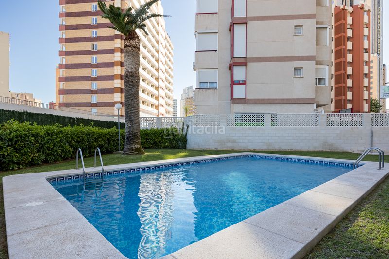 Foto 92648ced-0a33-494b-ac79-cf12596a2ceb. Apartament amb piscina a Levante Alto Benidorm