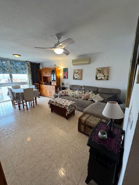 Foto bba12c70-7a67-48d6-b3a0-fb1d9c110fef. Apartament amb piscina a Juzgados - Plaza de Toros Benidorm