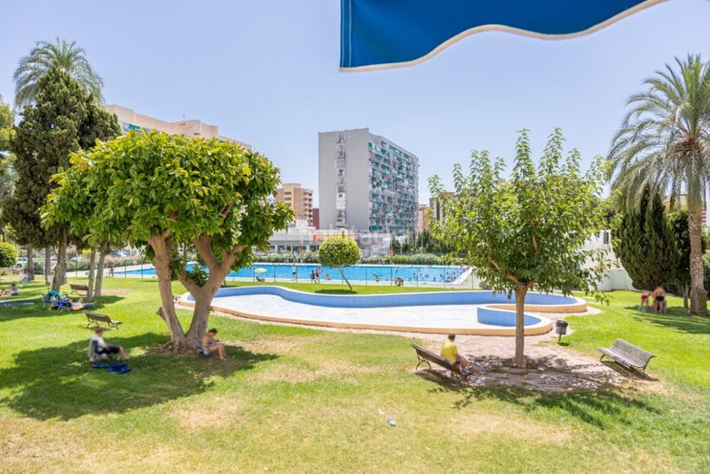 Foto ef1ba639-9e3e-4cca-86ee-a9fb77f04e70. Apartament amb piscina a Juzgados - Plaza de Toros Benidorm