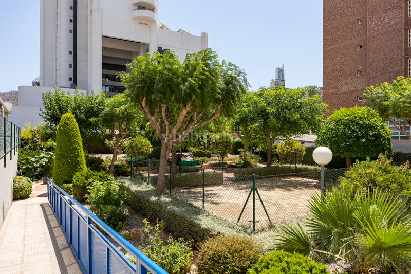 Foto e5106ad5-d7c5-48b5-8107-5924e1a7296c. Apartament amb piscina a Rincón Bajo Benidorm