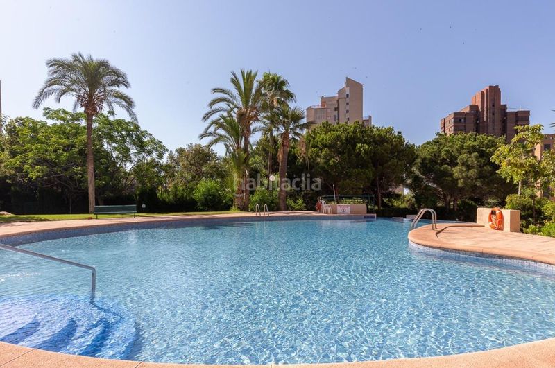Foto 93a7c90a-8a0c-48d9-aaee-664bc0bf7b2d. Pis amb piscina a Playa Poniente Benidorm