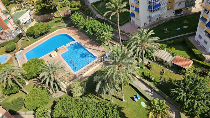 Foto 5a1b9f38-fecb-4af0-9278-b50fd2a7676f. Àtic amb piscina a Playa Poniente Benidorm