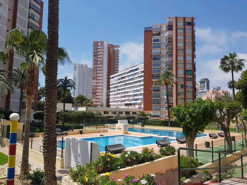 Foto 91722e68-6ee4-4fb5-939d-fdb09e44e1ce. Àtic amb piscina a Playa Poniente Benidorm