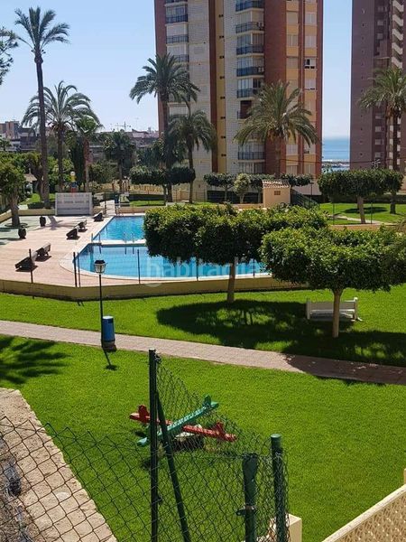 Foto a82fbcf8-259c-4eca-b20d-f57e0d6ce9e0. Àtic amb piscina a Playa Poniente Benidorm