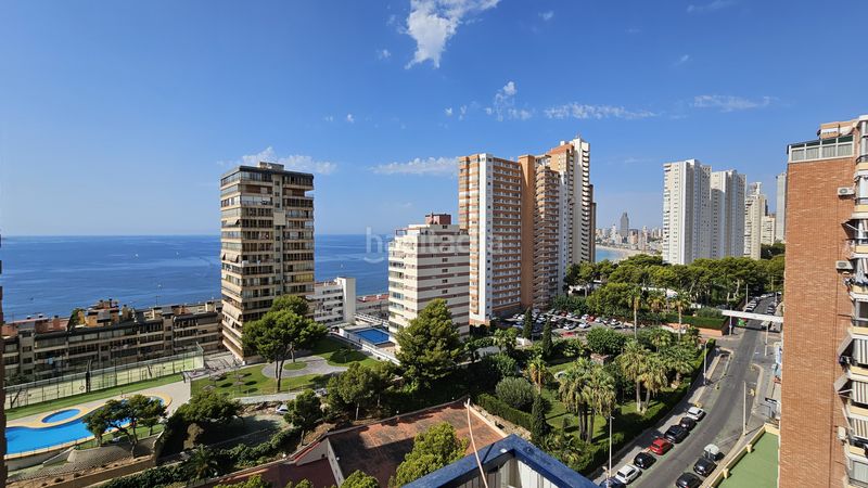 Foto d2109e43-e45d-46b8-8cd0-e6b32c0bcb32. Àtic amb piscina a Playa Poniente Benidorm
