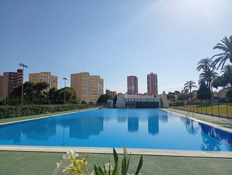 Foto bec1e662-81d2-4673-b025-bc16f48b481b. Pis amb piscina a Juzgados - Plaza de Toros Benidorm